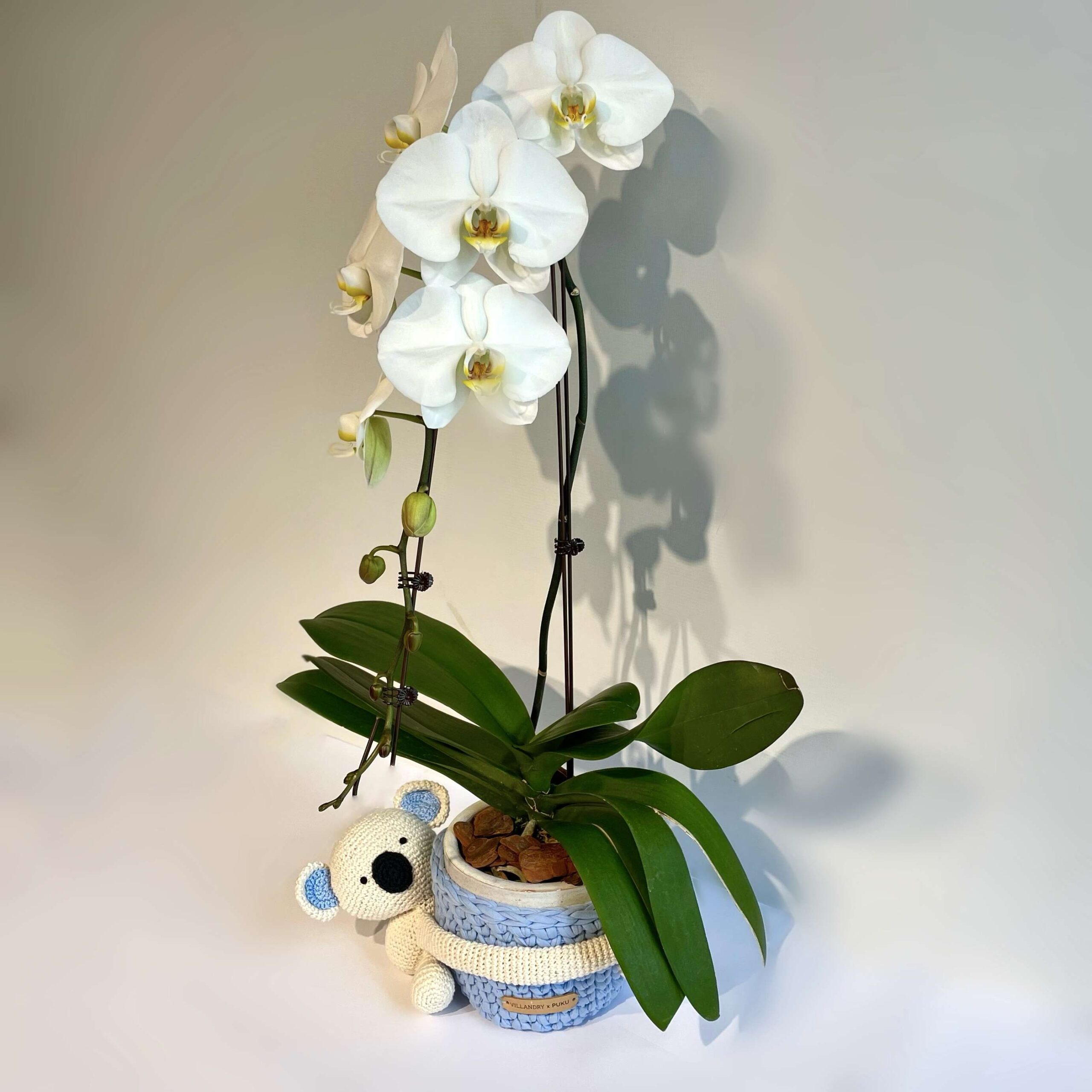 Delicada Orquídea en base de cerámica esmaltada de mango rojo envuelta en base de tejido reciclado realizado artesanalmente con un Peluche de Koala de Crochet artesanal tejido a mano.